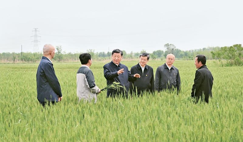 2023年5月11日至12日，中共中央總書記、國家主席、中央軍委主席習(xí)近平在河北考察，并主持召開深入推進京津冀協(xié)同發(fā)展座談會。這是11日上午，習(xí)近平在滄州市黃驊市舊城鎮(zhèn)仙莊片區(qū)旱堿地麥田考察時，同種植戶、農(nóng)技專家親切交流。 新華社記者 李學(xué)仁/攝